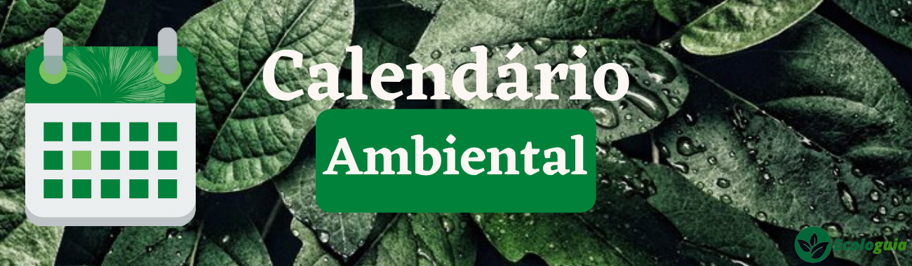 banner do calendario